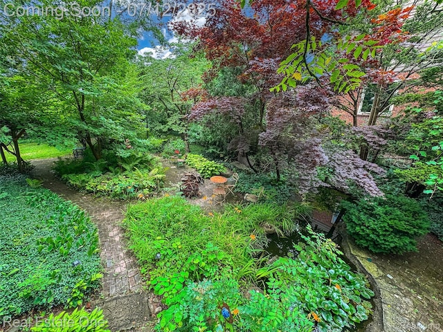 115 Illinois Ave, Pontiac, MI 48341 - view of nature