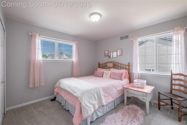 1884 Autumn Glen Dr, Howell, MI 48843 - bedroom with carpet floors