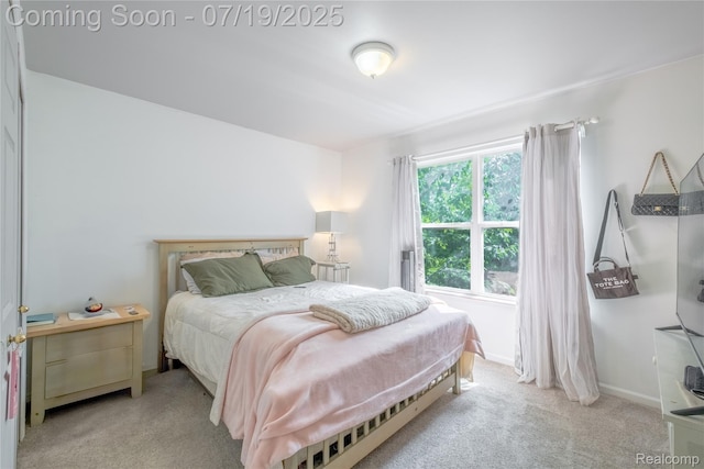 1884 Autumn Glen Dr, Howell, MI 48843 - bedroom with carpet
