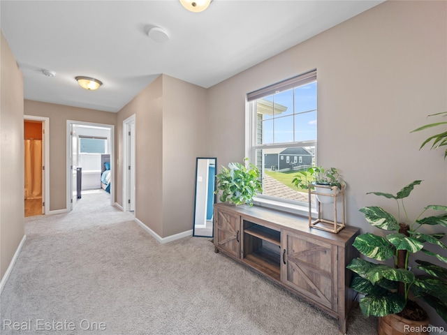 2838 Bogues View Dr, Howell, MI 48843 - hallway featuring healthy amount of natural light and carpet flooring