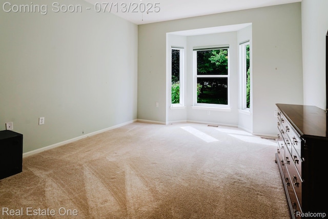 4033 Hillsdale Dr, Auburn Hills, MI 48326 - photo 17