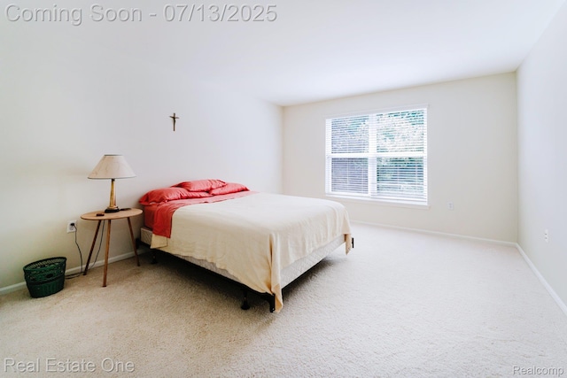 4033 Hillsdale Dr, Auburn Hills, MI 48326 - photo 32