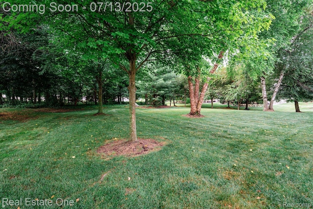 4033 Hillsdale Dr, Auburn Hills, MI 48326 - photo 42