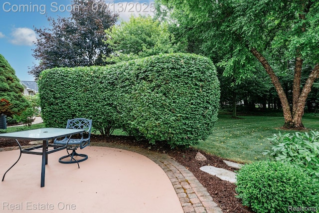 4033 Hillsdale Dr, Auburn Hills, MI 48326 - photo 44