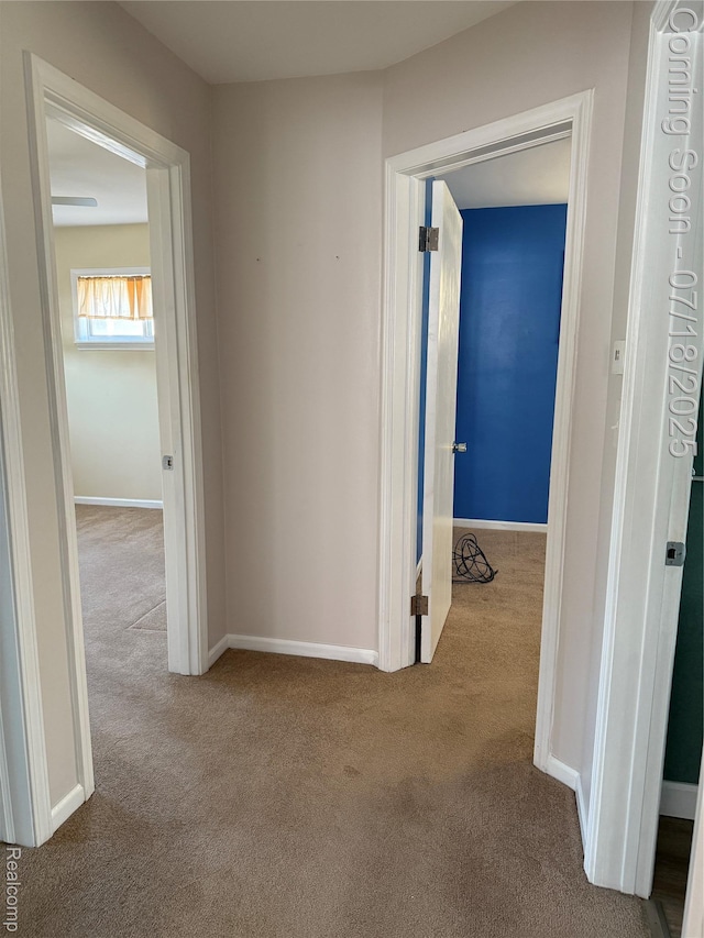 14820 Hanfor Ave, Allen Park, MI 48101 - photo 19