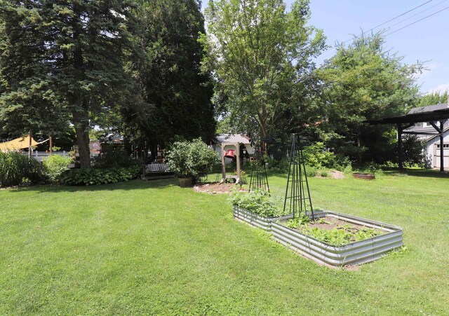 9425 Butternut St, New Lothrop, MI 48460 - photo 26