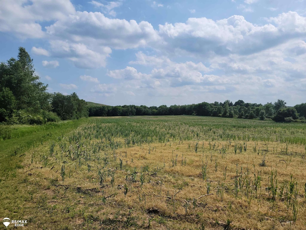0 Olds Rd, Otisville, MI 48463 - photo 1