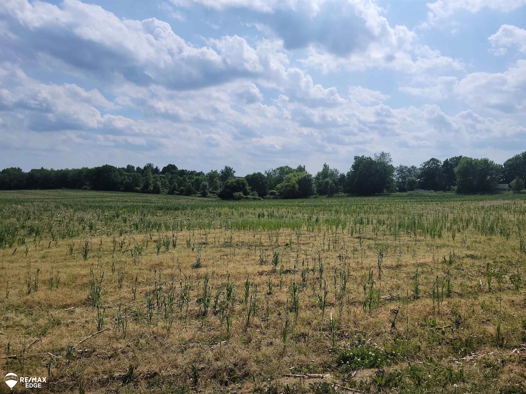 0 Olds Rd, Otisville, MI 48463 - photo 2