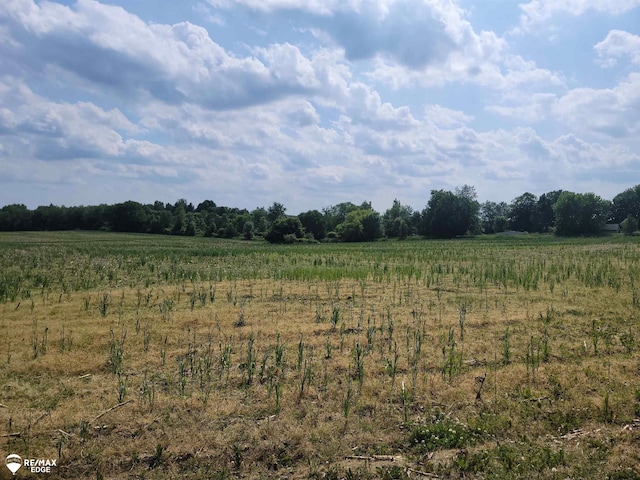 0 Olds Rd, Otisville, MI 48463 - photo 2