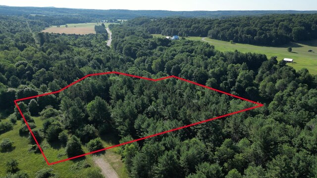 015 S Westview Dr, Empire, MI 49630