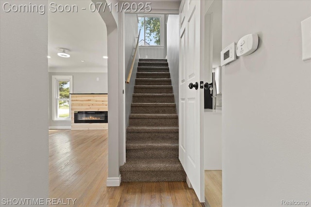 23041 Shakespeare Ave, Eastpointe, MI 48021 - staircase featuring wood finished floors, healthy amount of natural light, and a glass covered fireplace