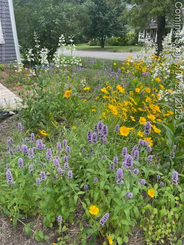 327 Miles St, Ypsilanti, MI 48198 - photo 29