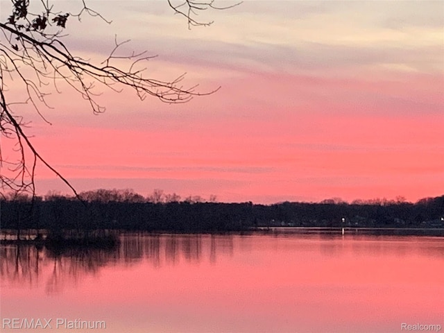 16344 Waterview Ln, Linden, MI 48451 - water view