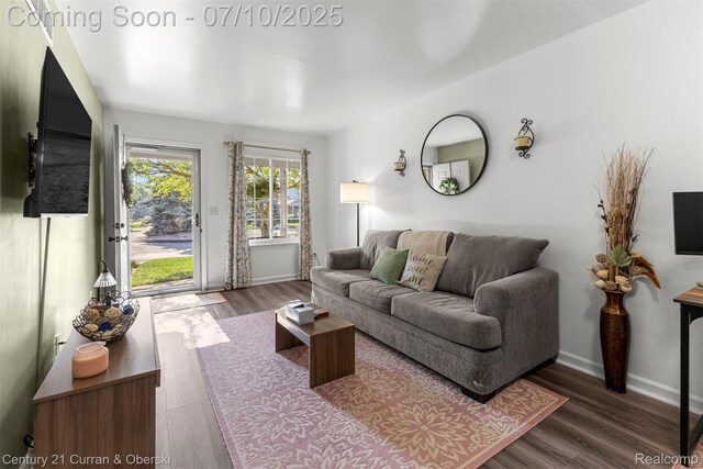 23486 Boller Ct, Trenton, MI 48183 - living area featuring wood finished floors and baseboards
