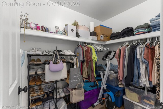 23486 Boller Ct, Trenton, MI 48183 - view of spacious closet