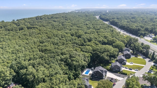 18734 Leonard Ct, New Buffalo, MI 49117 - bird's eye view of a heavily wooded area