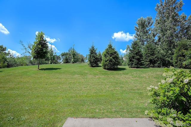 24727 Ivy Ln, Novi, MI 48375 - view of grassy yard