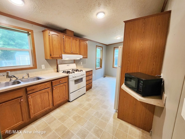 7085 Raucholz Rd, Saint Charles, MI 48655