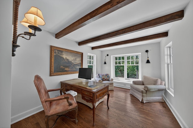 3420 Grange Rd, Berrien Springs, MI 49103 - office area with dark wood-type flooring and beam ceiling