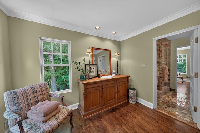 3420 Grange Rd, Berrien Springs, MI 49103 - living area featuring healthy amount of natural light, dark wood finished floors, crown molding, and recessed lighting