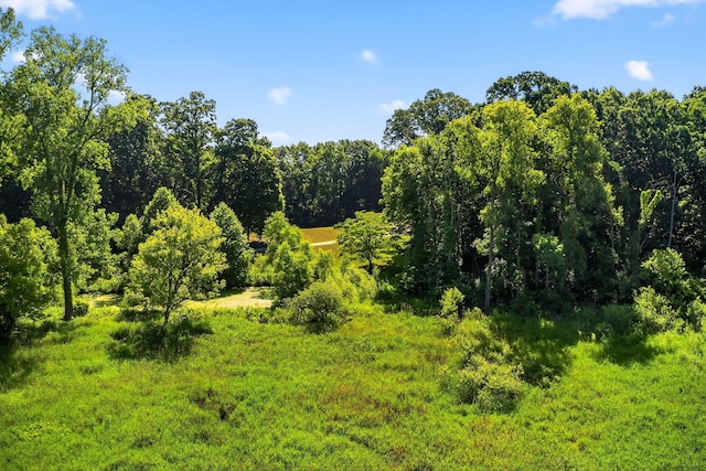 3420 Grange Rd, Berrien Springs, MI 49103 - view of tree filled area