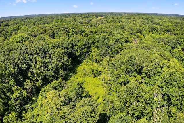 3420 Grange Rd, Berrien Springs, MI 49103 - aerial view of a forest