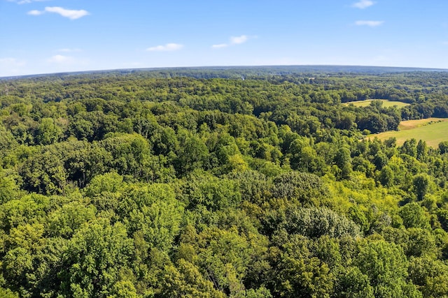3420 Grange Rd, Berrien Springs, MI 49103 - aerial view of a forest