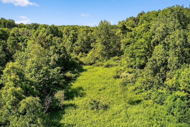 3420 Grange Rd, Berrien Springs, MI 49103 - view of tree filled area