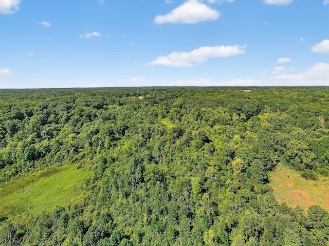 3420 Grange Rd, Berrien Springs, MI 49103 - drone / aerial view of a heavily wooded area
