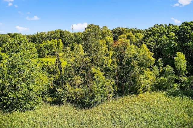 3420 Grange Rd, Berrien Springs, MI 49103 - view of woods