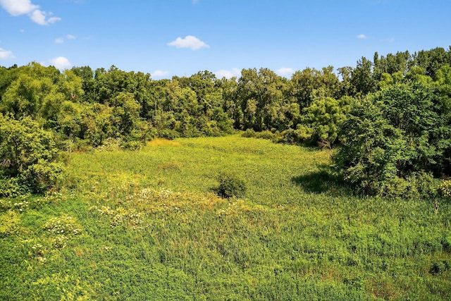 3420 Grange Rd, Berrien Springs, MI 49103 - view of woods