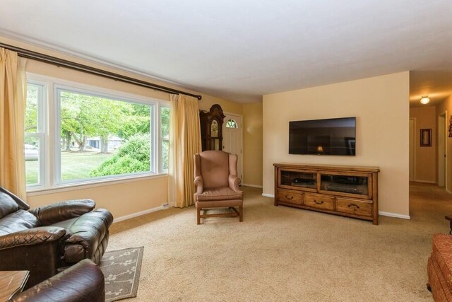 956 Vinewood Dr, Saint Joseph, MI 49085 - living area with plenty of natural light and carpet flooring