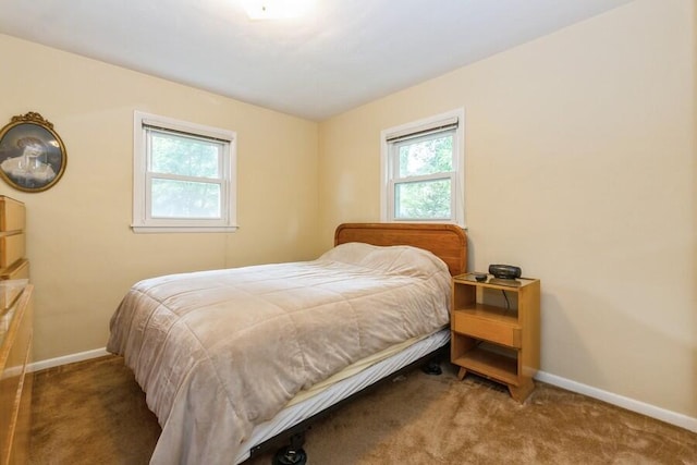 956 Vinewood Dr, Saint Joseph, MI 49085 - bedroom featuring multiple windows and carpet