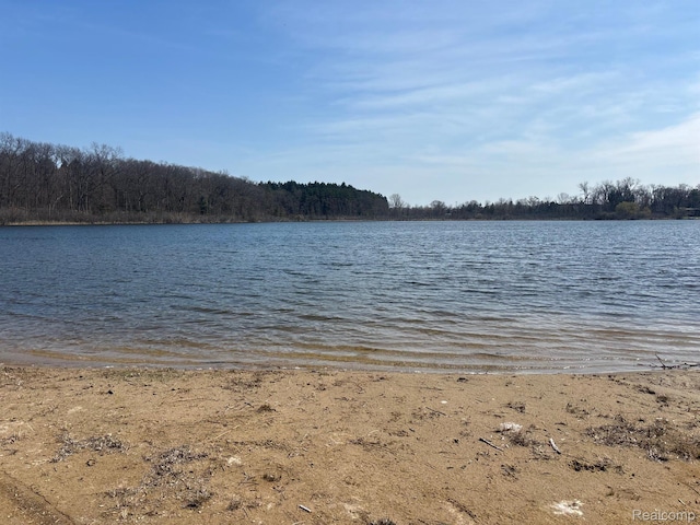 170 W Reed Lake Ct, Commerce Twp, MI 48390 - water view