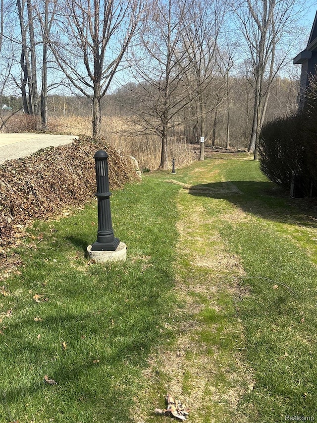 170 W Reed Lake Ct, Commerce Twp, MI 48390 - view of grassy yard