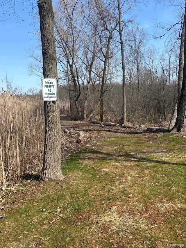 170 W Reed Lake Ct, Commerce Twp, MI 48390 - view of yard