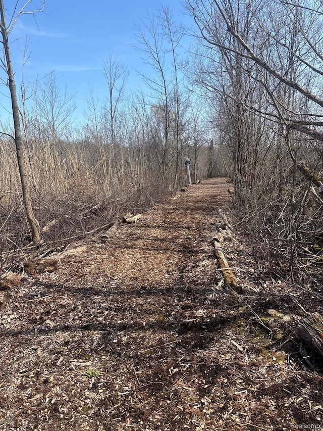 170 W Reed Lake Ct, Commerce Twp, MI 48390 - view of undeveloped land