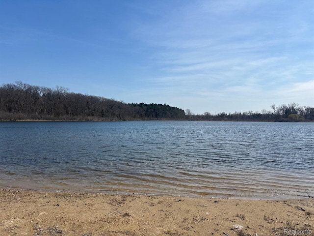 170 W Reed Lake Ct, Commerce Twp, MI 48390 - water view