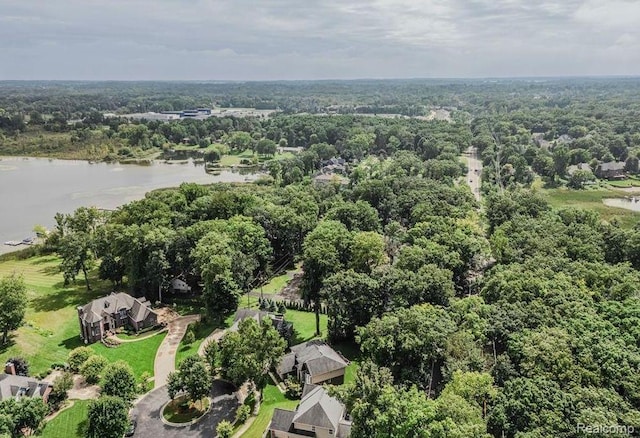 170 W Reed Lake Ct, Commerce Twp, MI 48390 - bird's eye view of a heavily wooded area and a nearby body of water