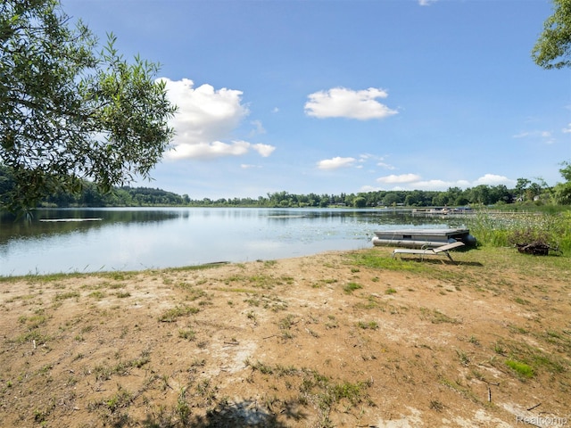 170 W Reed Lake Ct, Commerce Twp, MI 48390 - water view