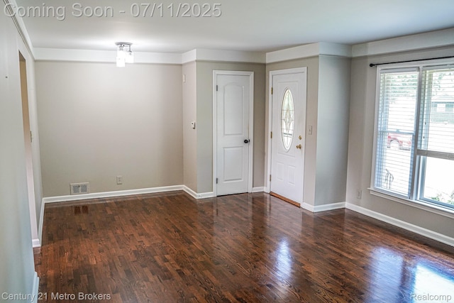 338 N Dr, Davison, MI 48423 - foyer featuring healthy amount of natural light and wood finished floors