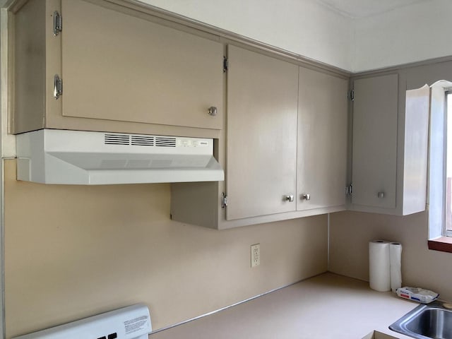 3607 Colby Ave SW, Wyoming, MI 49509 - kitchen with exhaust hood and light countertops