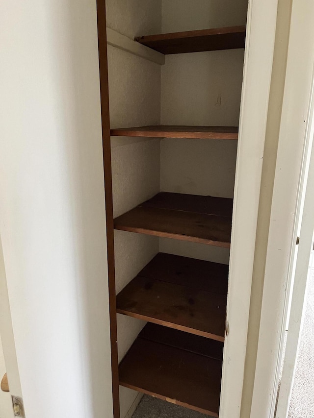 3607 Colby Ave SW, Wyoming, MI 49509 - view of closet