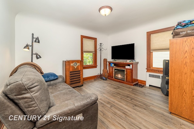 9610 Saginaw St, Reese, MI 48757 - living area with radiator, wood finished floors, and a glass covered fireplace