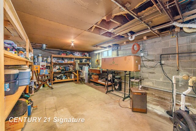 9610 Saginaw St, Reese, MI 48757 - basement featuring a workshop area