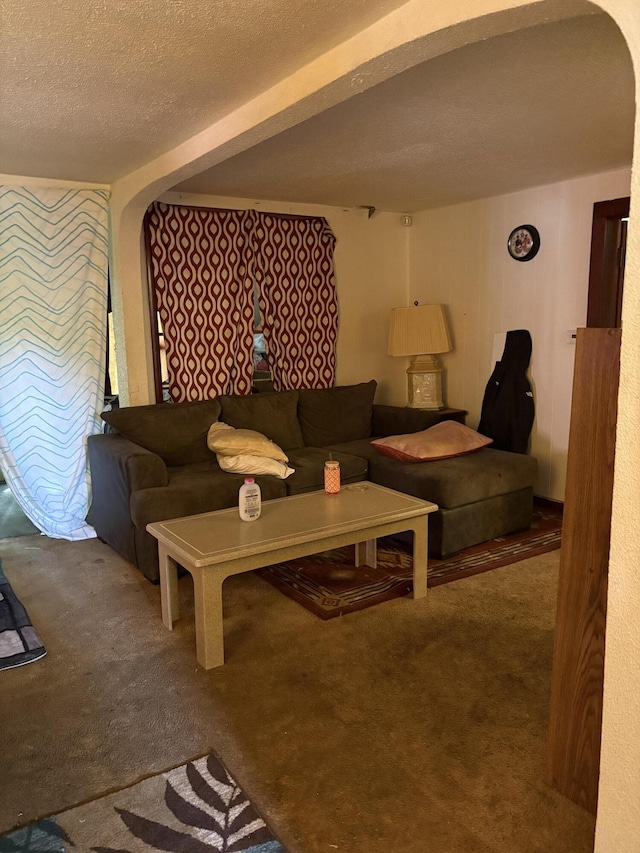 1993 Taube Ave, Benton Harbor, MI 49022 - living room with carpet floors and a textured ceiling