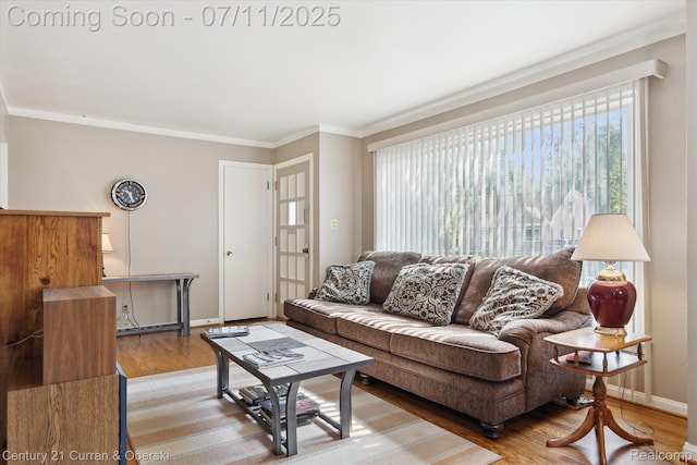 21623 Tulane Ave, Farmington, MI 48336 - photo 8