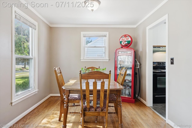 21623 Tulane Ave, Farmington, MI 48336 - photo 14