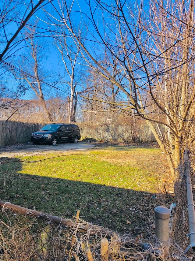 14029 Grandville Ave, Detroit, MI 48223 - photo 13