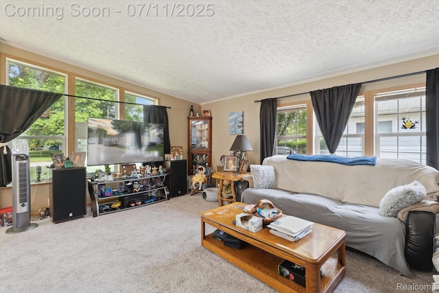 3410 Eastdale Dr, Flint, MI 48506 - living room featuring carpet flooring, a textured ceiling, and ornamental molding